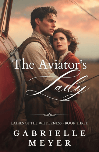 The Aviator's Lady by Gabrielle Meyer