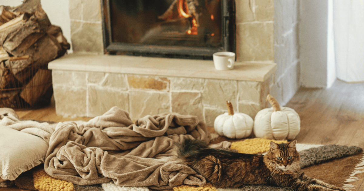 How to Create the Ultimate Cozy Fall Reading Nook