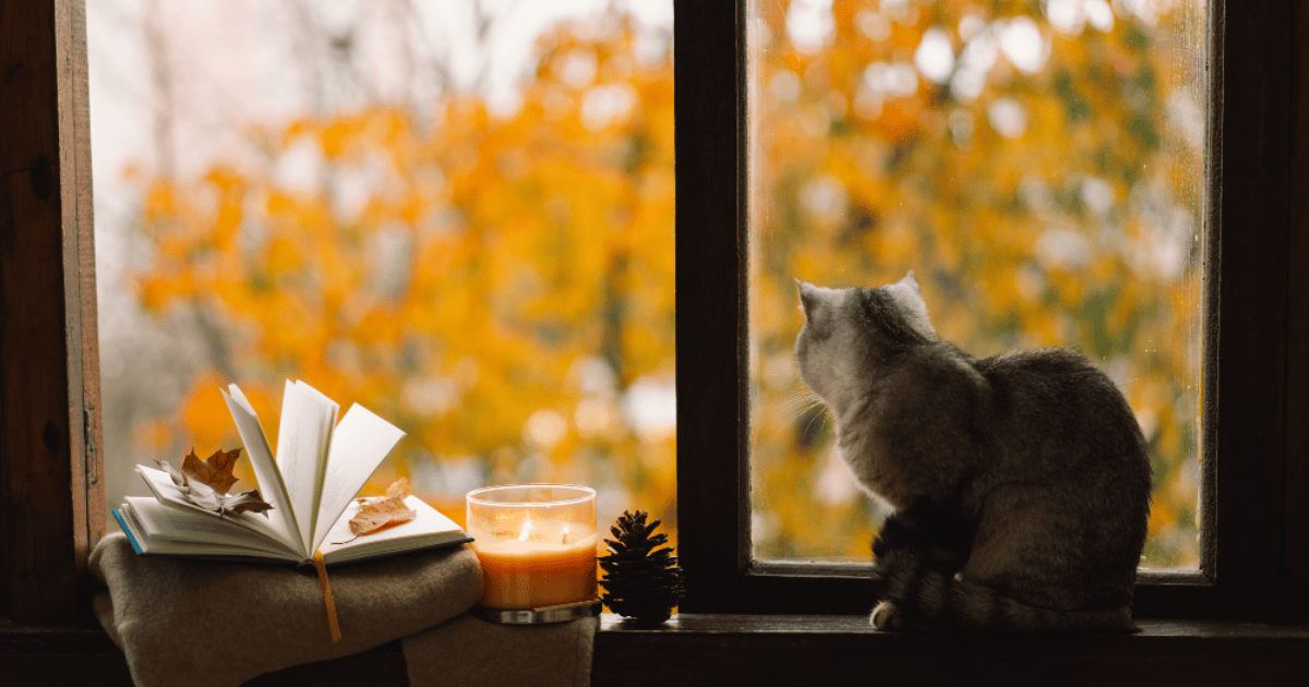 How to Create the Ultimate Cozy Fall Reading Nook
