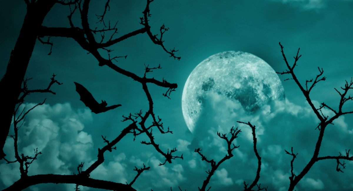 Why Vampire Stories Have Remained Popular Across Centuries