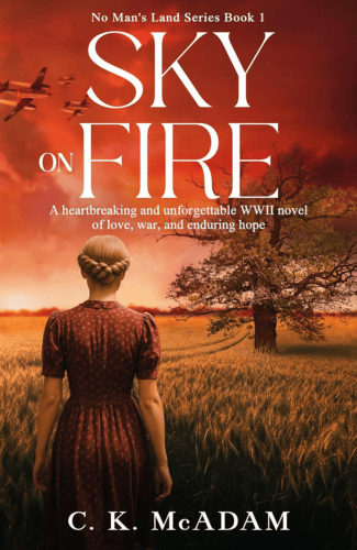 Sky on Fire by C. K. McAdam