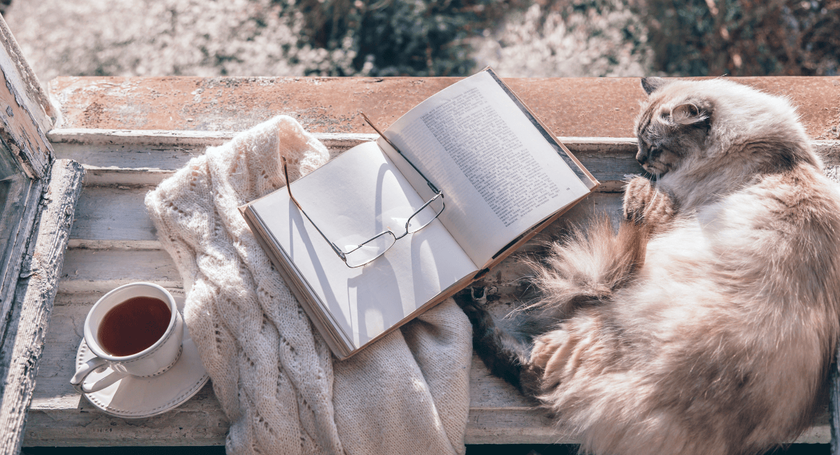 What I Want My Reading Life to Feel Like This Year