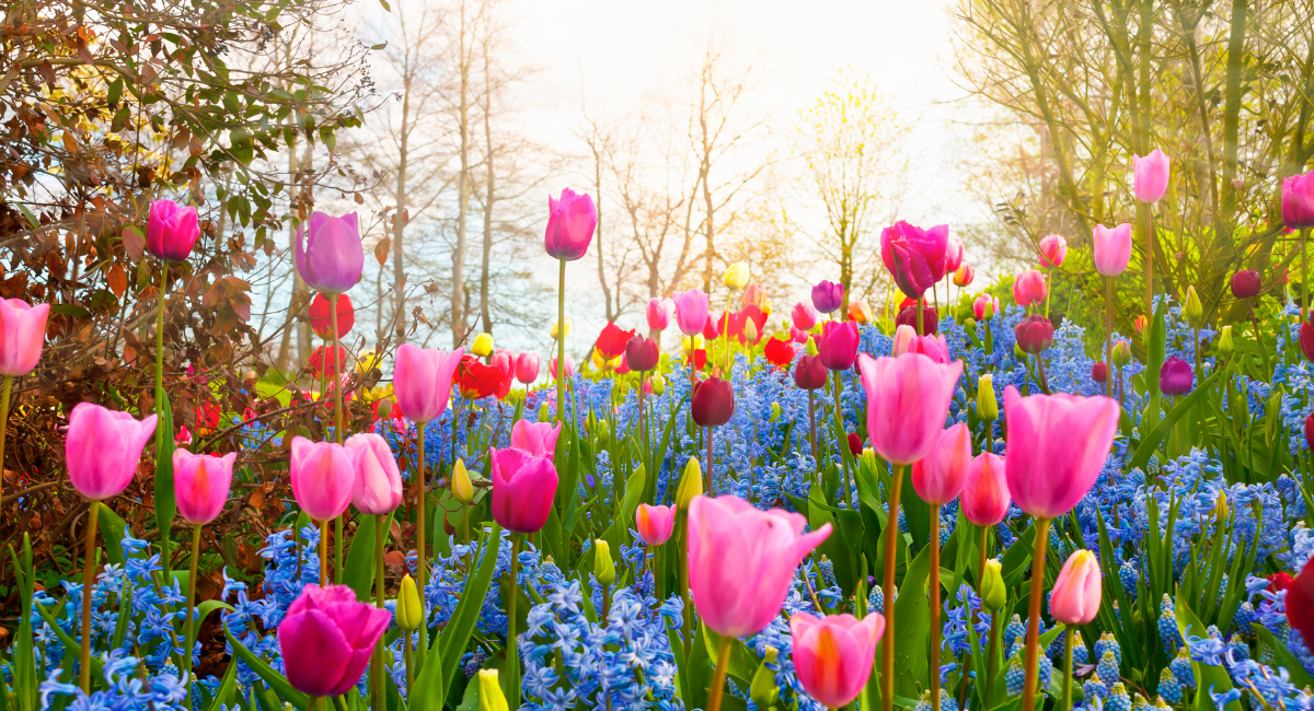 10 Classic Books with the Most Beautiful Springtime Settings